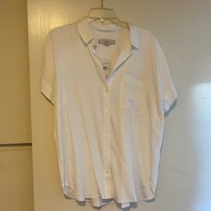 White collared Loft shirt, never worn!